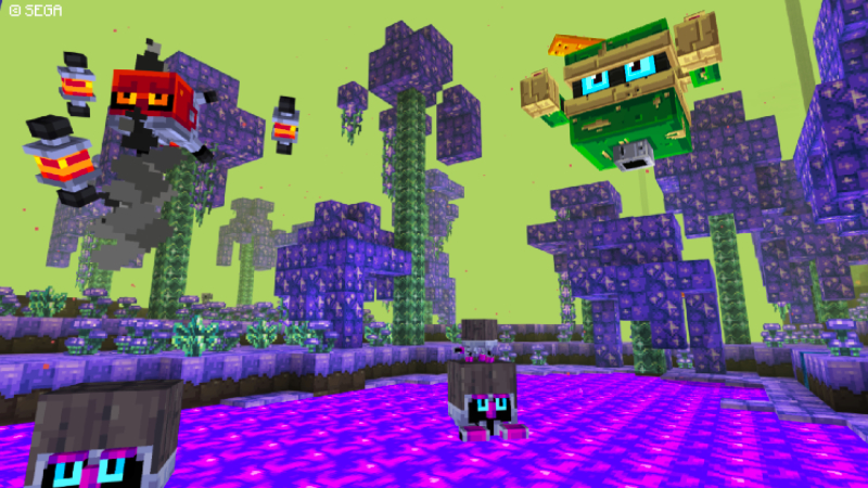 Sonic Texture Pack Screenshot #4