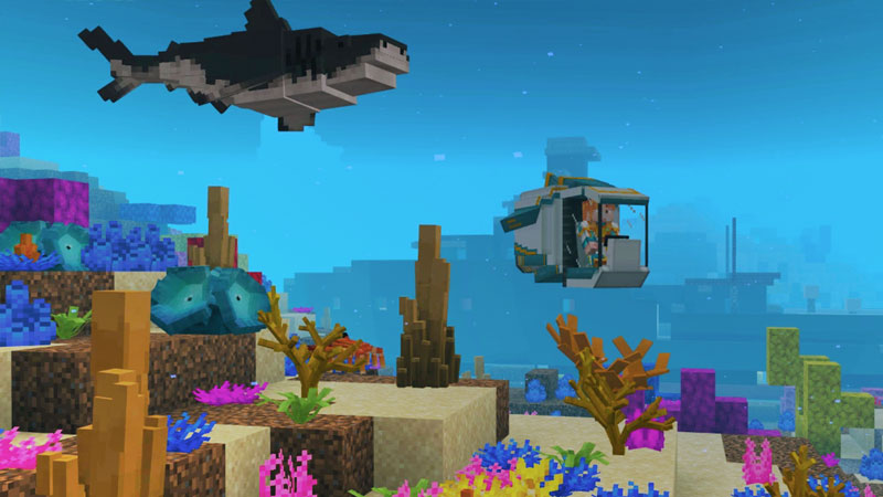 Ocean Wildlife Explorers by Everbloom Games