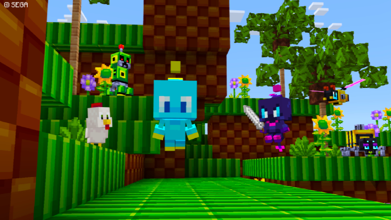 Sonic Texture Pack Screenshot #1