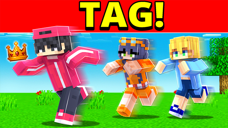 TAG on the Minecraft Marketplace by Pickaxe Studios