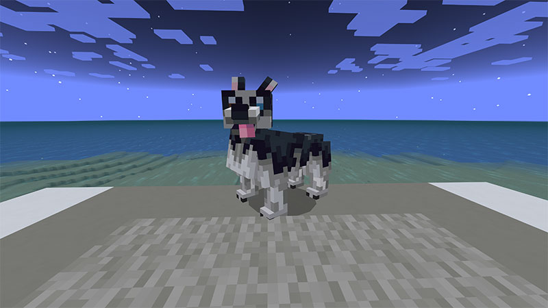 Husky Screenshot #1