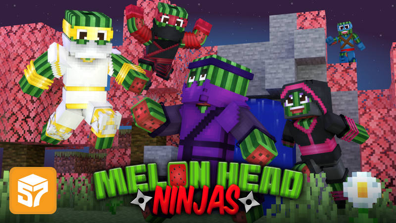 Melon Head Ninjas Key Art