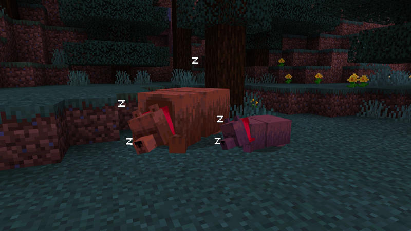 Bears Screenshot #2