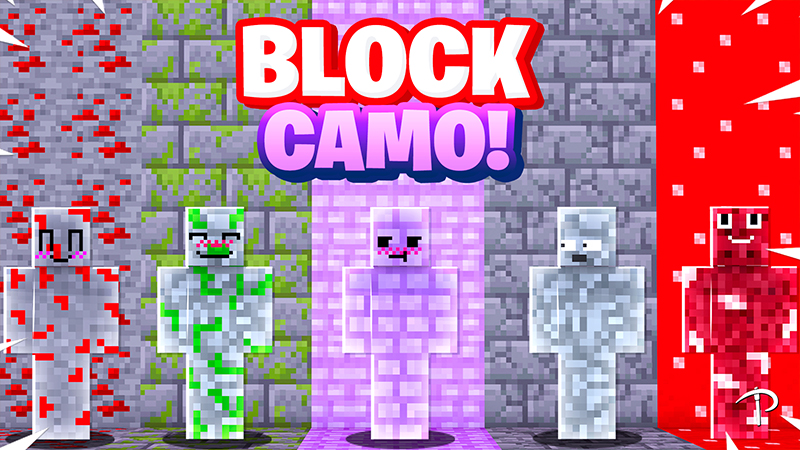 BLOCK CAMO! HD 2 Key Art