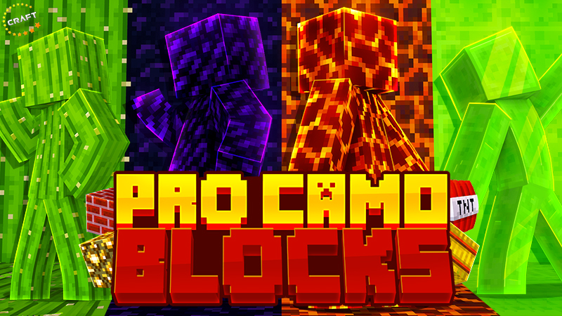 Pro Camo Blocks Key Art