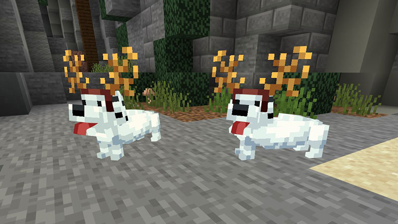 White Wiener Dog Screenshot #2