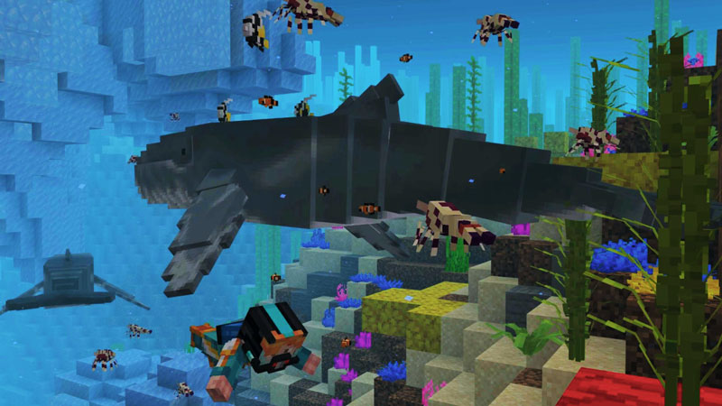 Ocean Wildlife Explorers In Minecraft Marketplace Minecraft