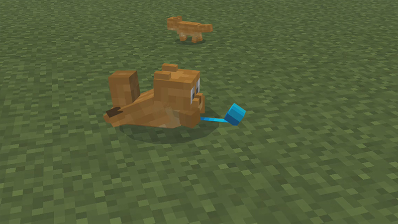 PETS! Screenshot #4