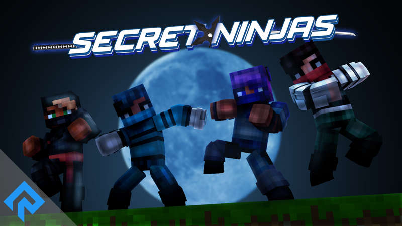 Secret Ninjas Key Art