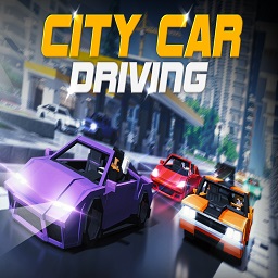 City Car Driving Pack Icon