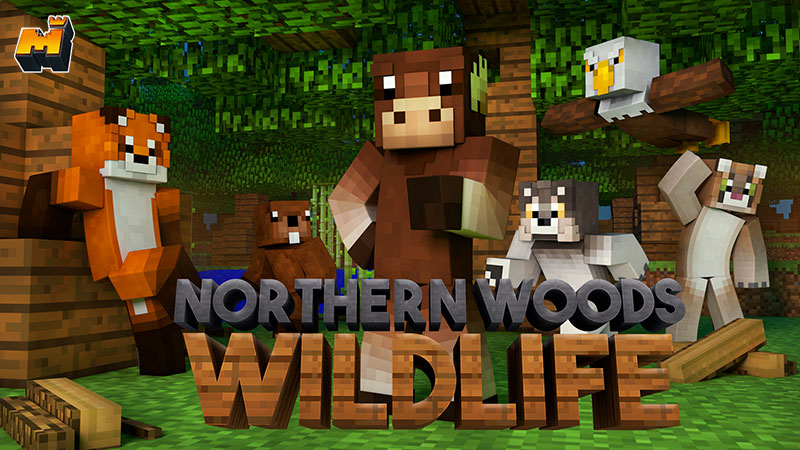 Northern Woods Wildlife