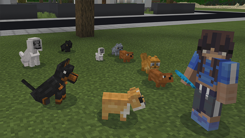 PETS! Screenshot #1