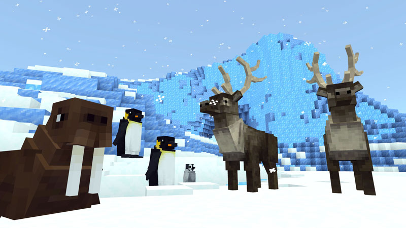 Arctic Wildlife Explorers by Everbloom Games