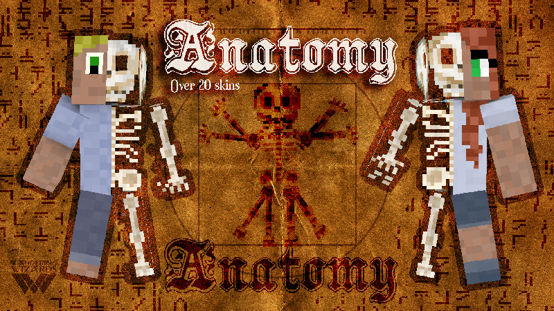 Anatomy skinpack Key Art