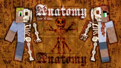 Anatomy skinpack on the Minecraft Marketplace by Wandering Wizards Anatomy skinpack on the Minecraft Marketplace by Wandering Wizards