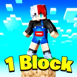 1 Block Pack Icon