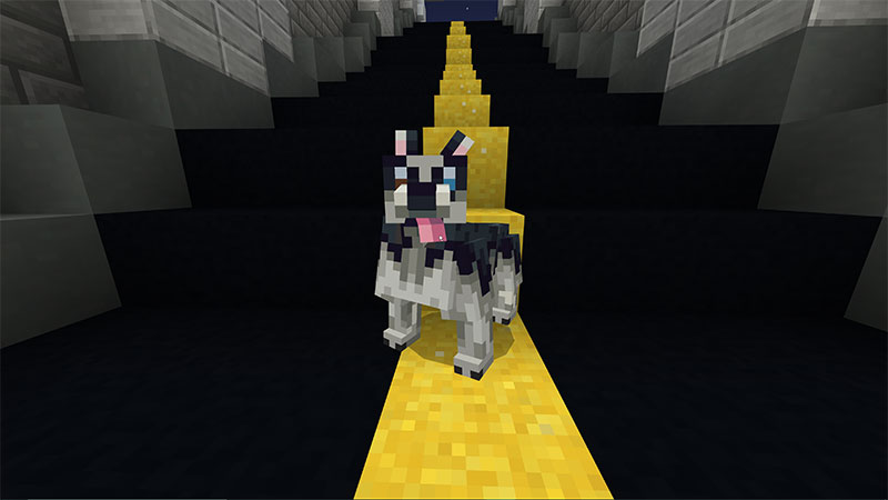 Husky Screenshot #3
