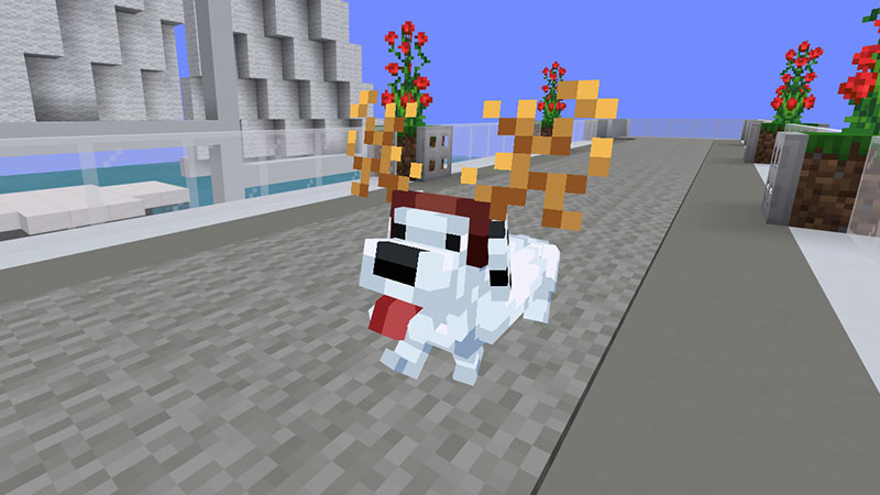 White Wiener Dog Screenshot #4