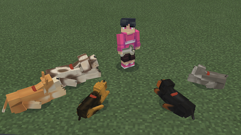 Dogs! Screenshot #3