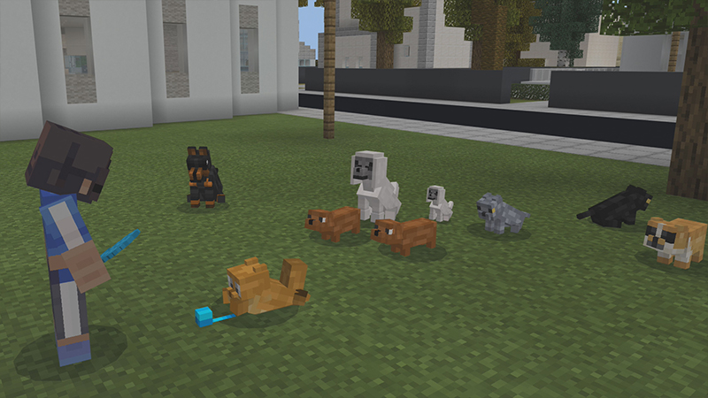 PETS! Screenshot #2