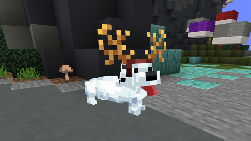 White Wiener Dog Screenshot #1