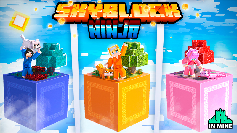 Skyblock Ninja Key Art
