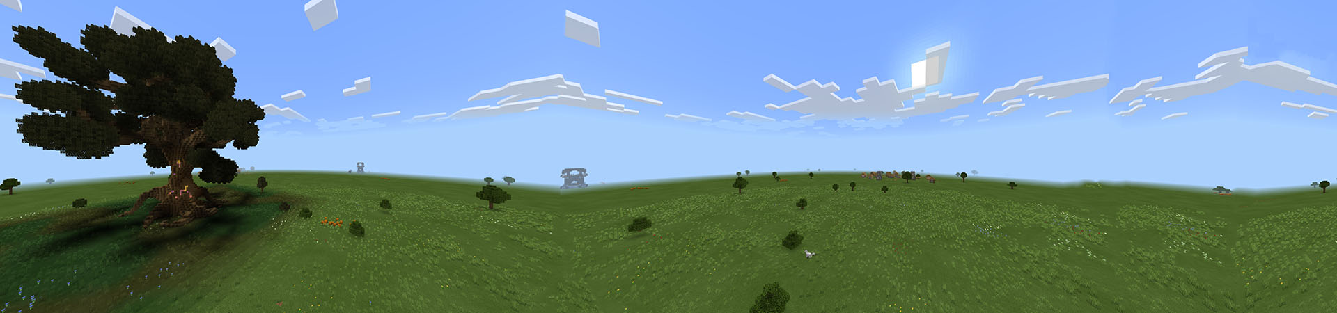 Flat World Survival Panorama