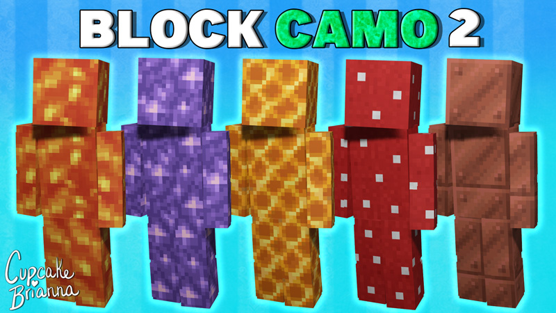 Bedrock Blocks Minecraft Skin