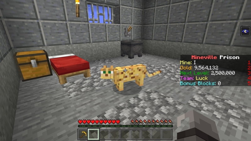 Prison Cat Pet Screenshot #2