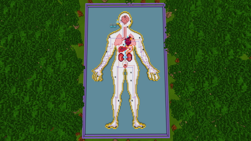The Human Body by GoE-Craft