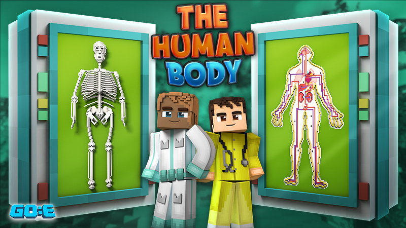 The Human Body in Minecraft Marketplace | Minecraft