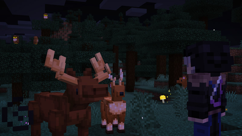Survival Plus: Forest Animals by The Hive