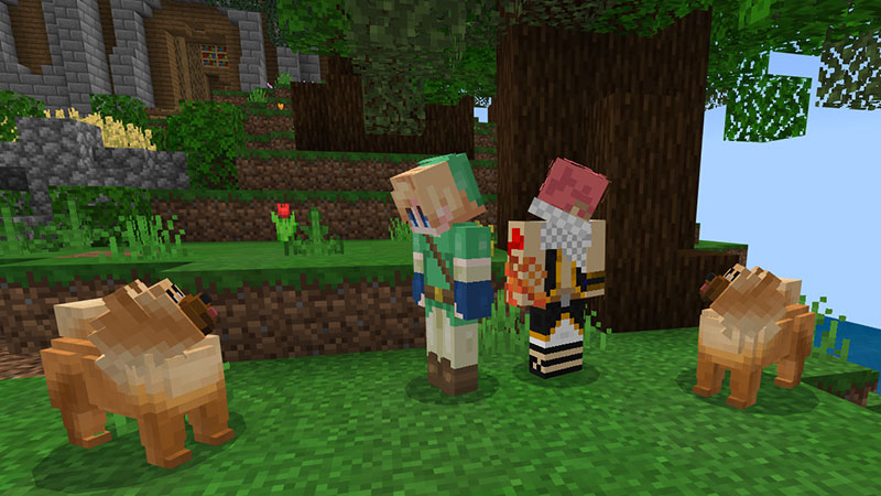 Chow Chow Screenshot #3