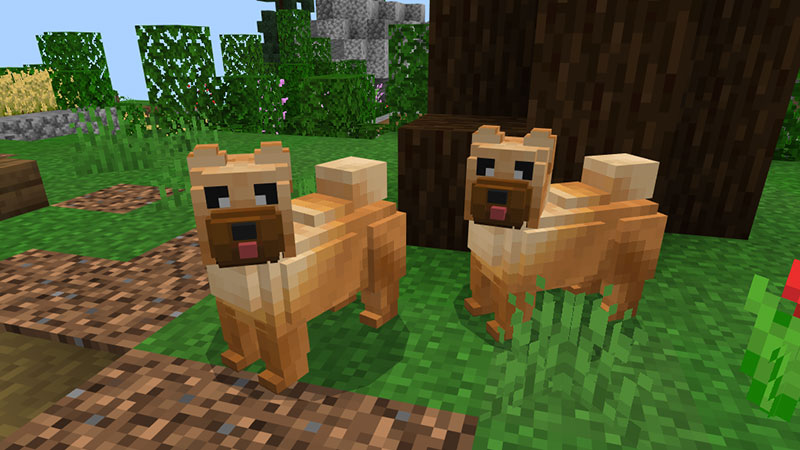 Chow Chow Screenshot #2