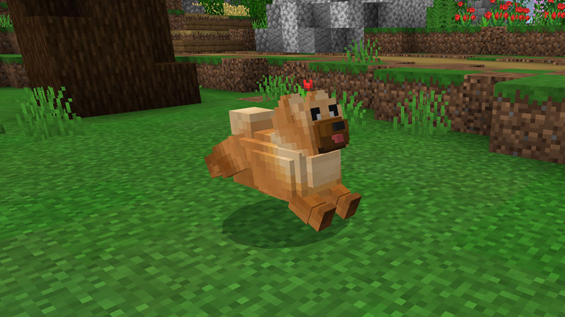 Chow Chow Screenshot #4