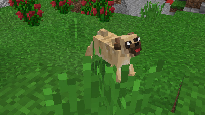 Pug Screenshot #5