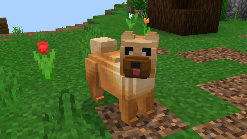 Chow Chow Screenshot #1