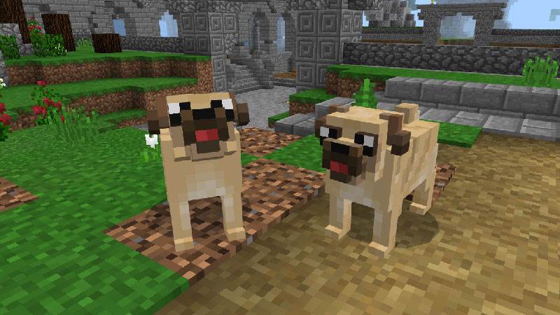 Pug Screenshot #2