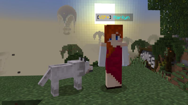 Capture the Flag VIP+ Screenshot #4